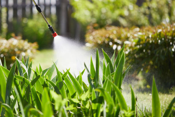 24/7 Emergency Mosquito Control experts in Pomona, CA