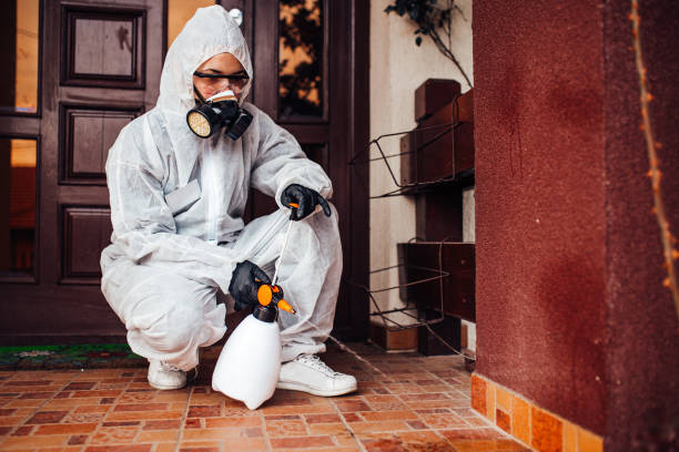 Reliable Mosquito Control contractor in Pomona, CA by Show Me Pest Control