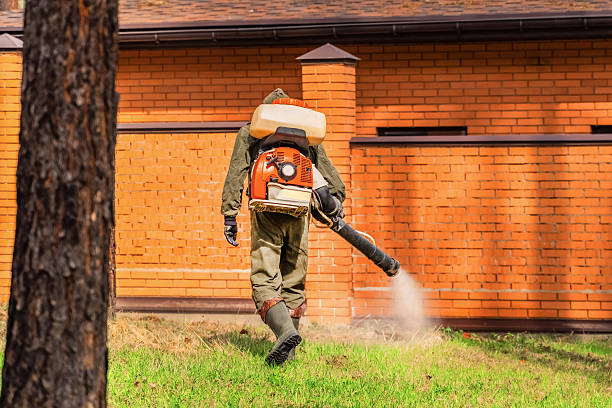 Top rated local Mosquito Control specialists in Pomona, CA